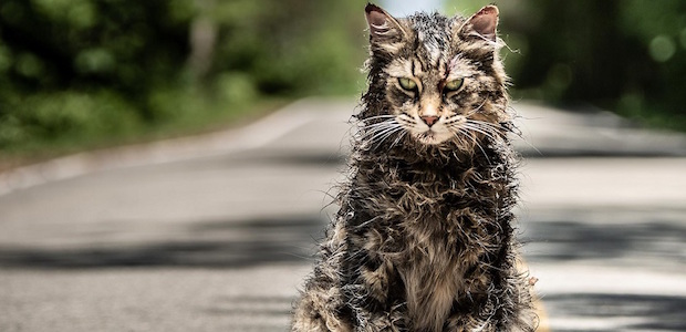 Pet Sematary (2019) Review