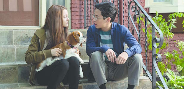 A Dog’s Journey Review