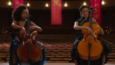 The Perfection Review