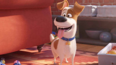 The Secret Life Of Pets 2 Review