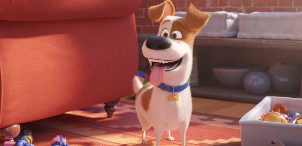 The Secret Life Of Pets 2 Review